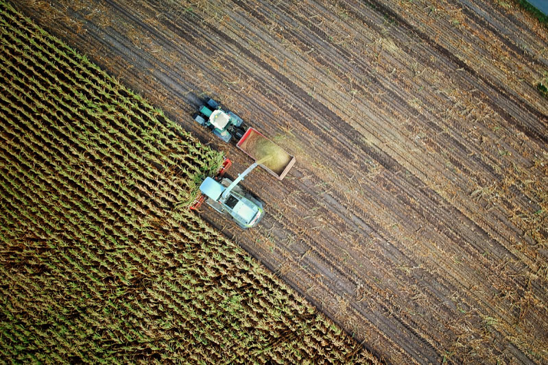 agricultural-project